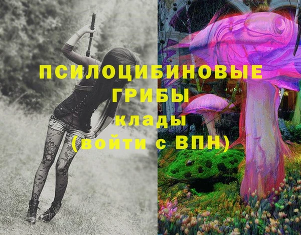 прущий лед Нея