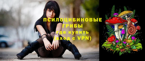 МДПВ Нефтегорск